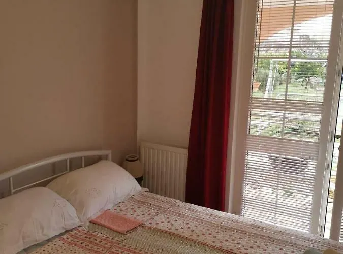 Ivana 布罗达里卡